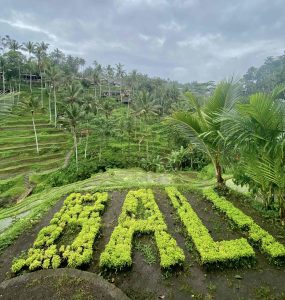 5 Errores comunes al visitar Bali por primera vez