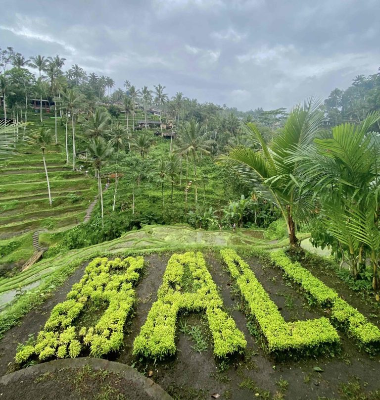 arrozales Tegalalang