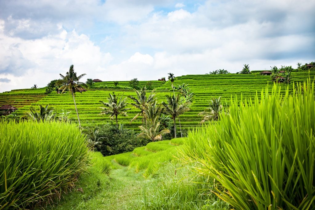 itinerario 15 días bali