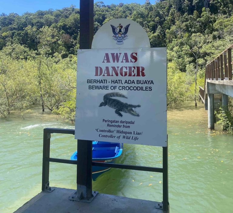 Señal de peligro de cocodrilos si te metes en el agua