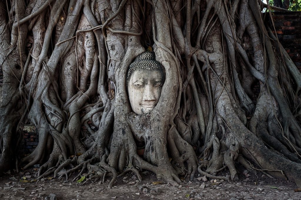 thailand, asia, buddha-2630779.jpg