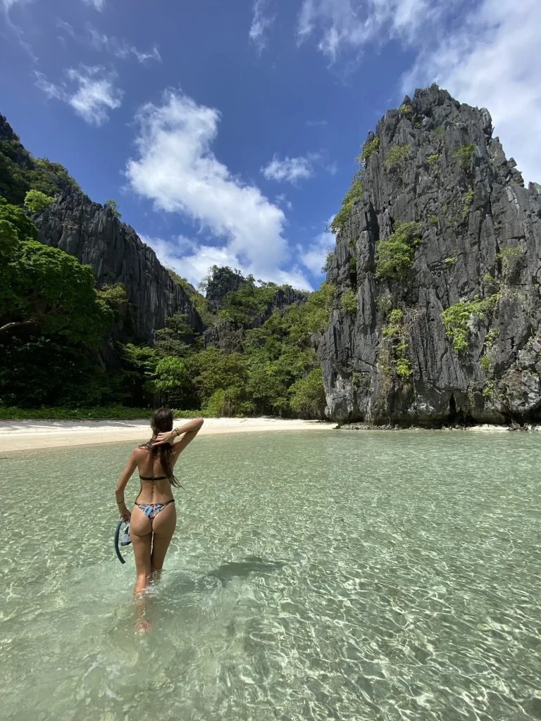 que ver en el nido