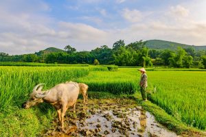 El Mejor Seguro de Viaje para Laos en 2025 [Hasta 15% de DESCUENTO Gratis]