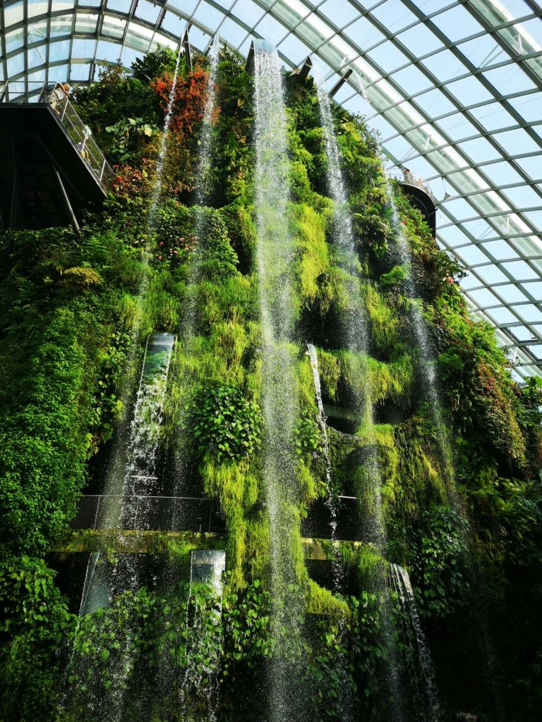 gardens by the bay