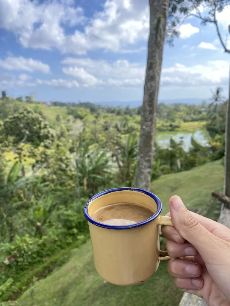 viajar a bali como mochileros