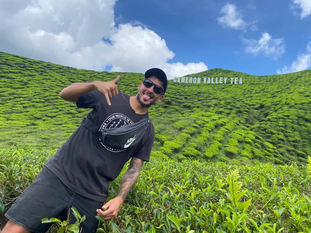 que ver en cameron highlands malasia