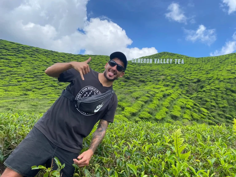 que ver en cameron highlands malasia