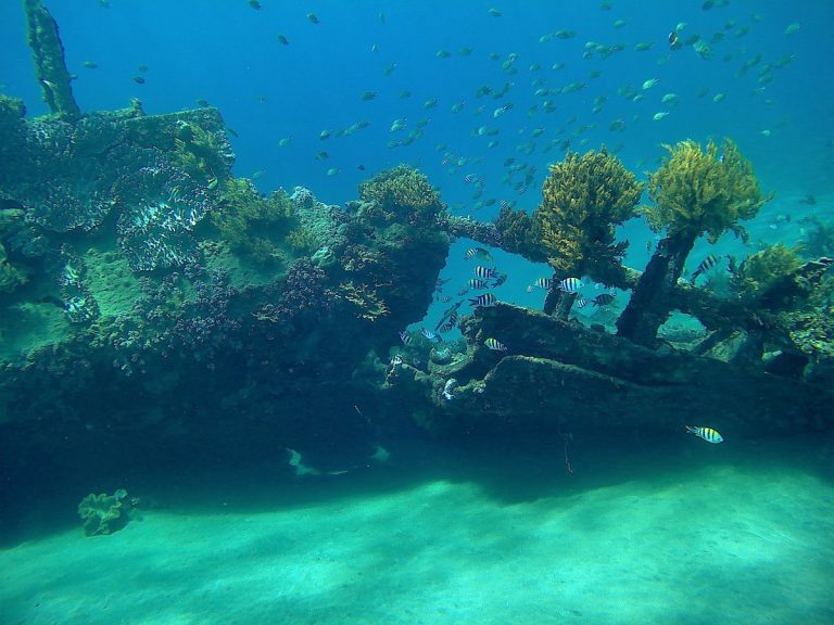 Snorkel y Buceo en Bali: