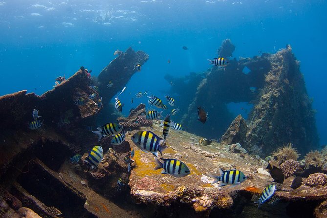snorkel y buceo en bali