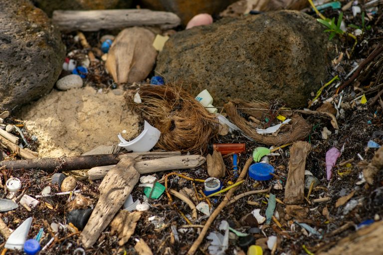 prohibiciones para turistas en bali