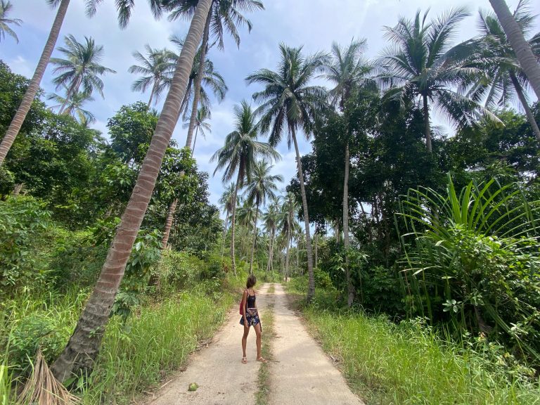 que ver en koh phangan