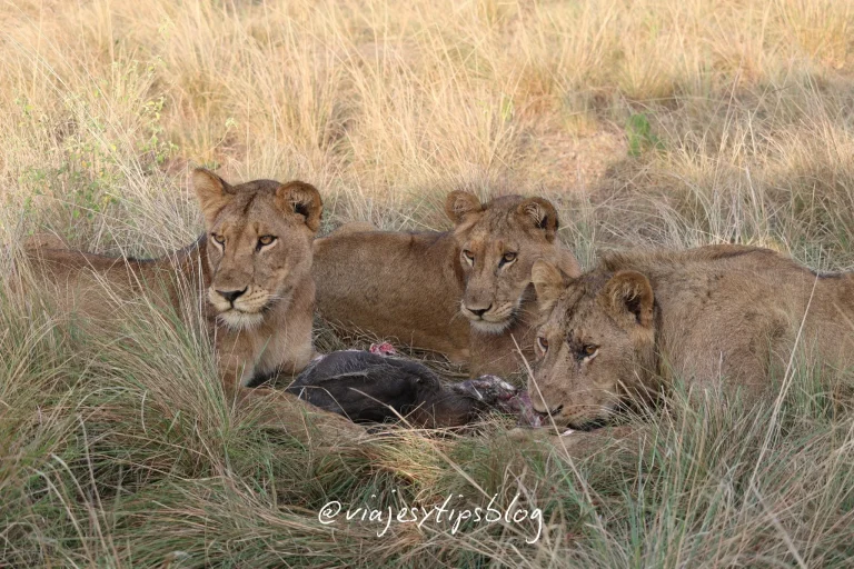 queen elizabeth national park uganda
