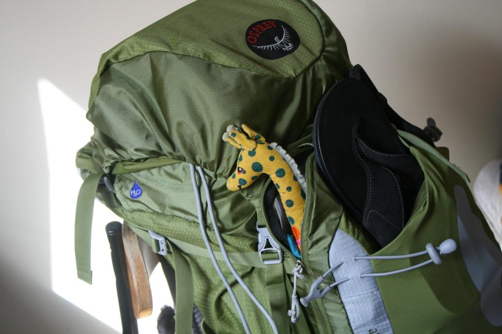 travel, backpack, giraffe, backpacker, traveler, adventure, backpack, backpack, backpack, backpack, backpack