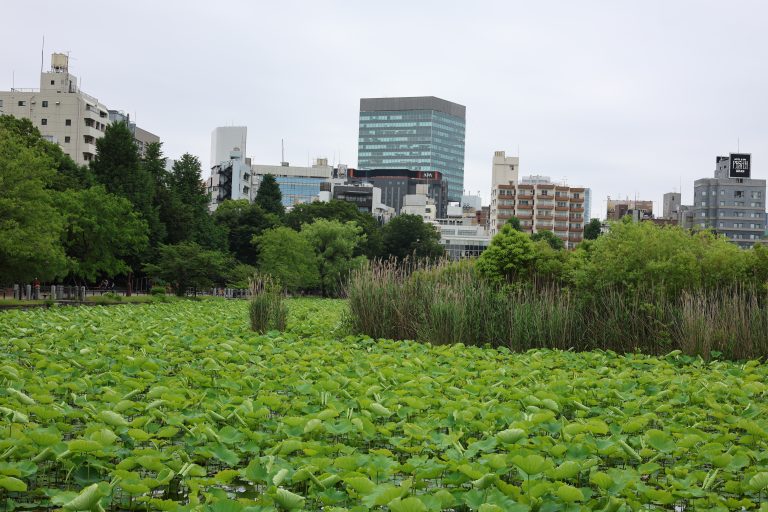 parque ueno