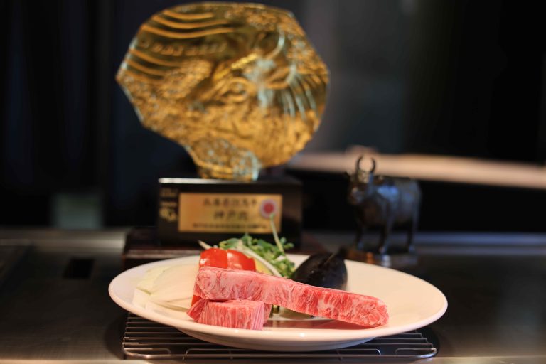 carne de kobe sirloin