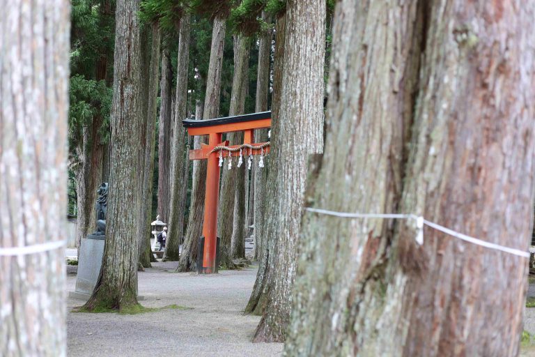 que ver en koyasan