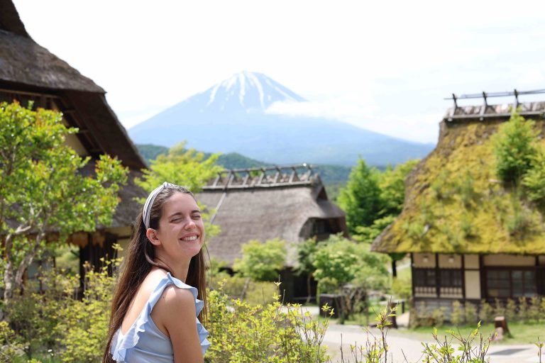 vista monte fuji