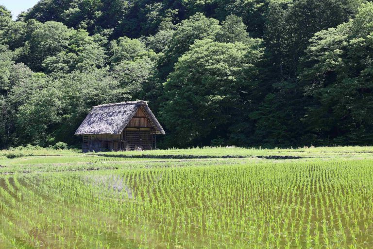 shirakawago alpes japoneses
