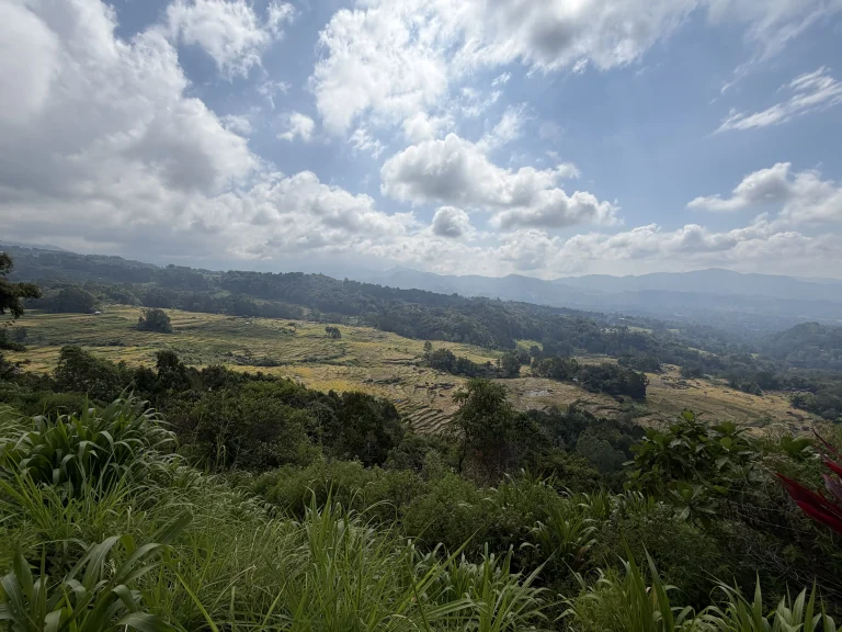tana toraja por libre