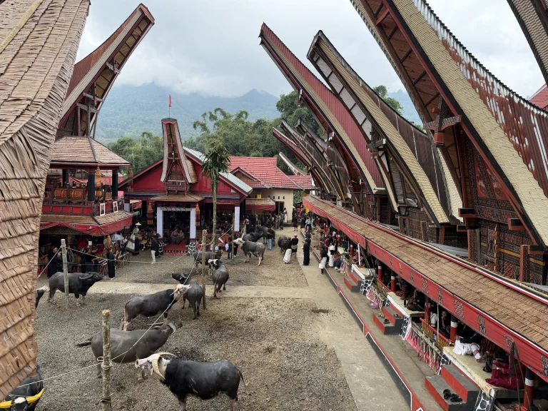 funerales tana toraja